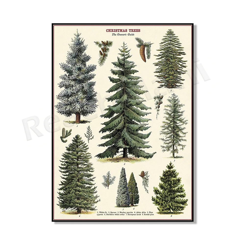 Рождественский постер ReachMani