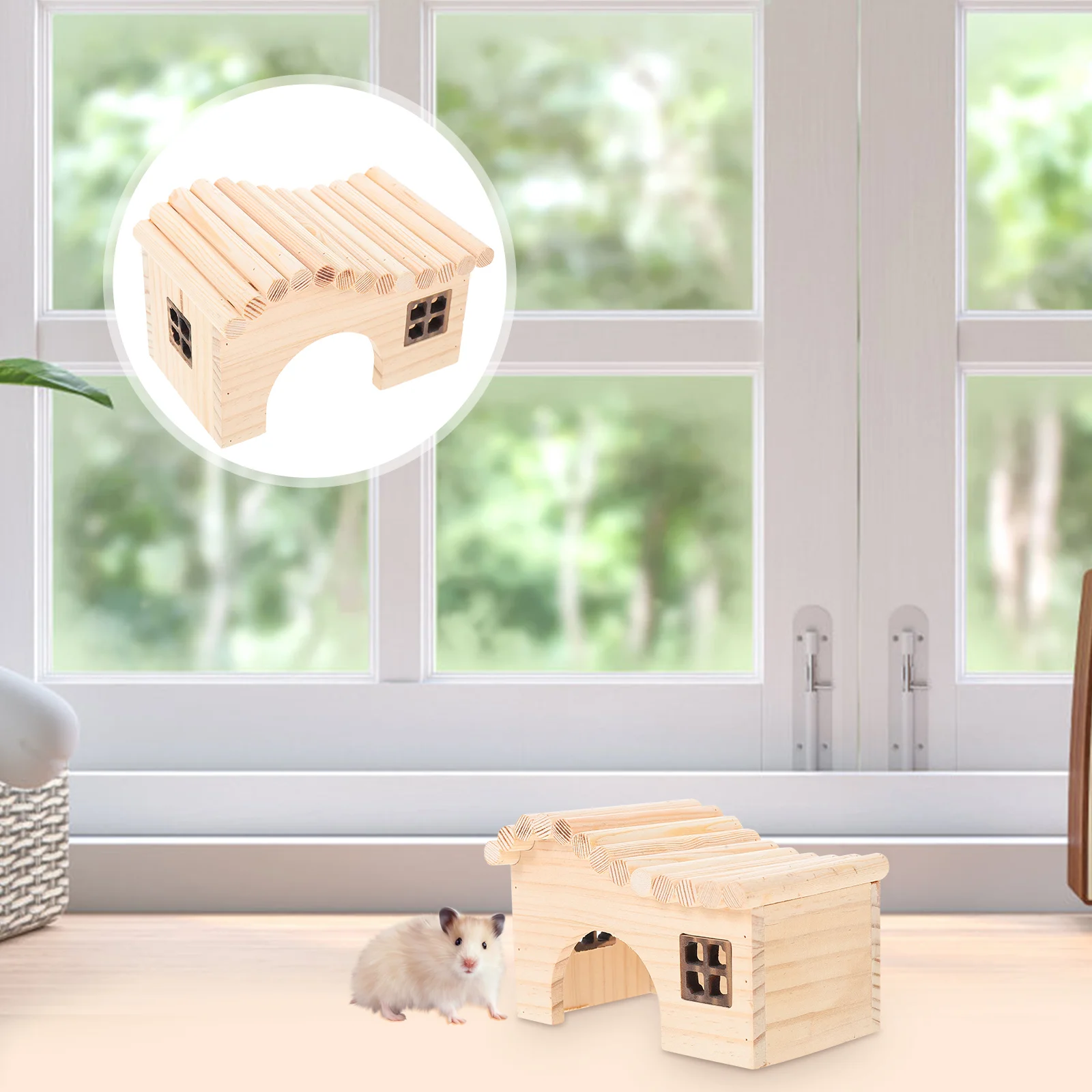 

House Hamster Hamster House for Pets Hamsters Room Home