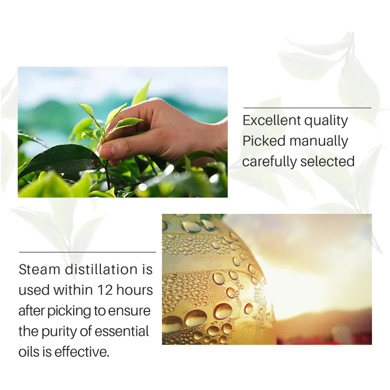 Натуральное масло чайного дерева увлажняющее средство для ухода за волосами