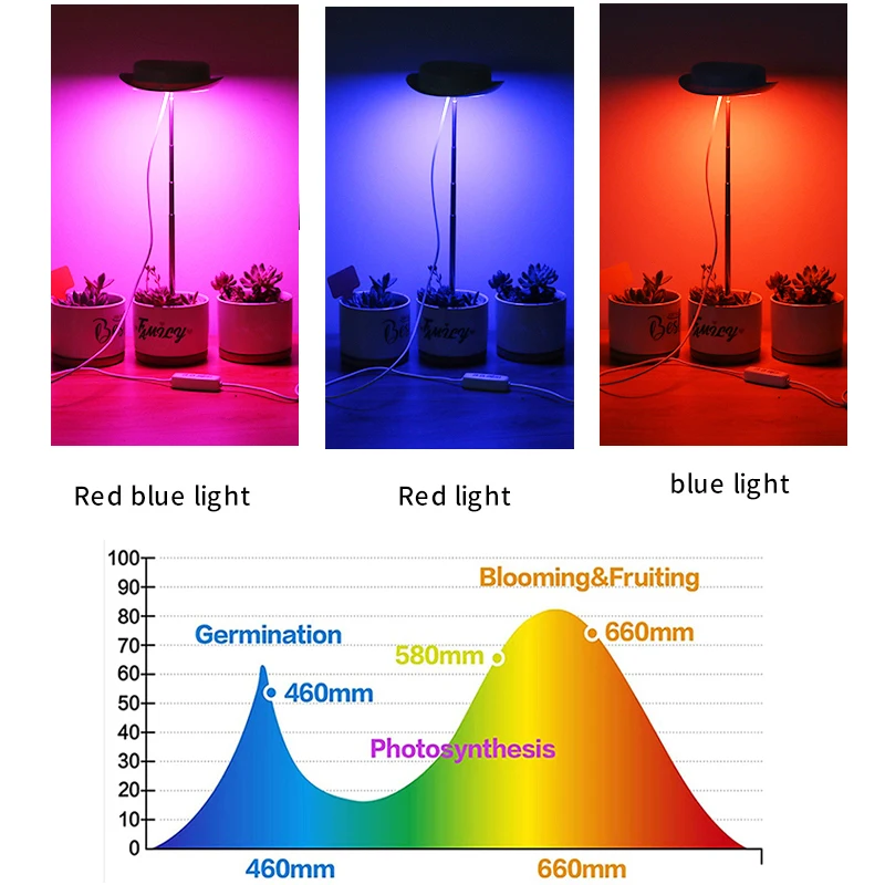 Рисунок 4 - Светодиодная лампа полного спектра