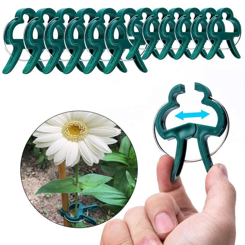 

Plant Clips Greenhouse Bracket Pole Fixed Clamp Reusable Plants Flower Seedling Stem Support Plant Grafting Stakes Clip Fastener