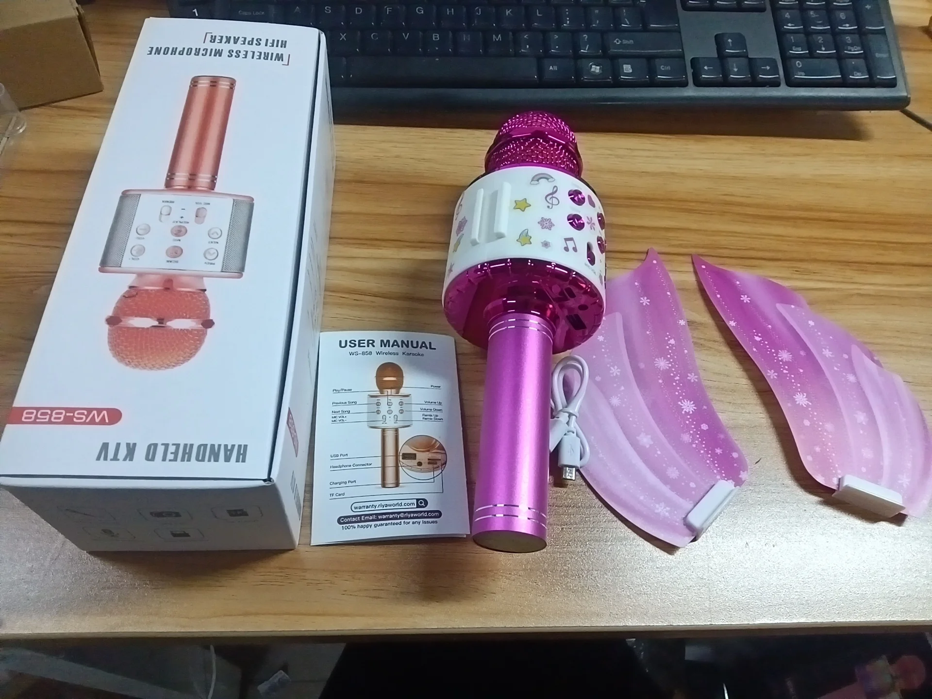 Рисунок 2 - Детский микрофон