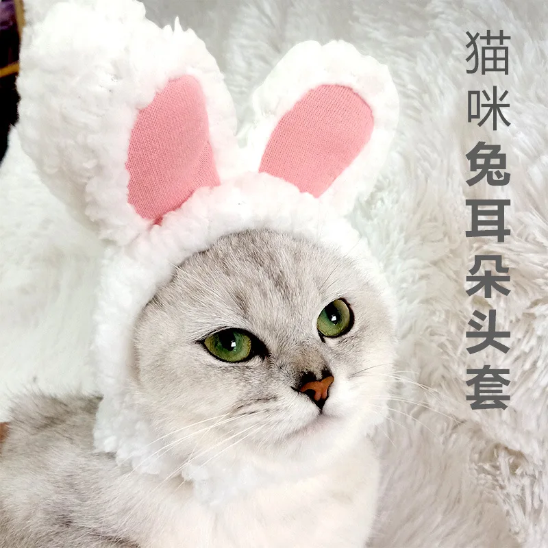 

Cat Hat Bunny Hood Small Ears Cute Hat Dog Teddy Bichon Transformed Into English Short Garfield Headdress