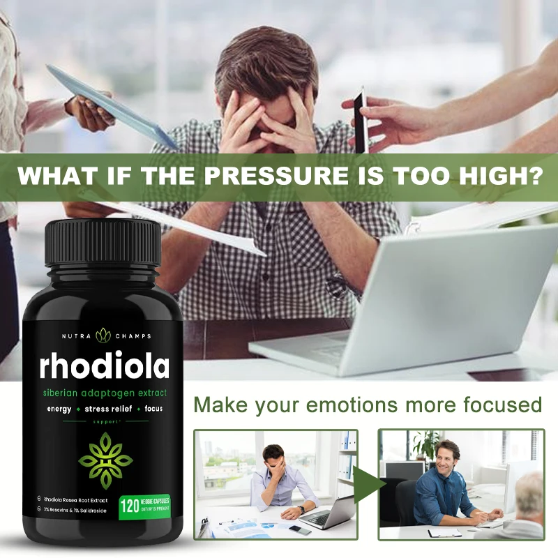

Supreme Supplement of Siberian Root and Rhododendron - Night Concentration, Lasting Pills for Stress Relief, Focused Energy