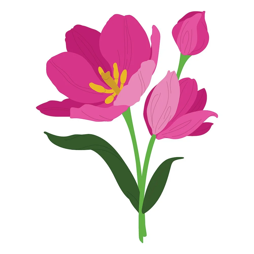 

Scrapbook Diary Decorate Embossing Template Lovely Layers Tulips Metal cutting dies Diy Gift Card Handmade Craft Reusable Molds