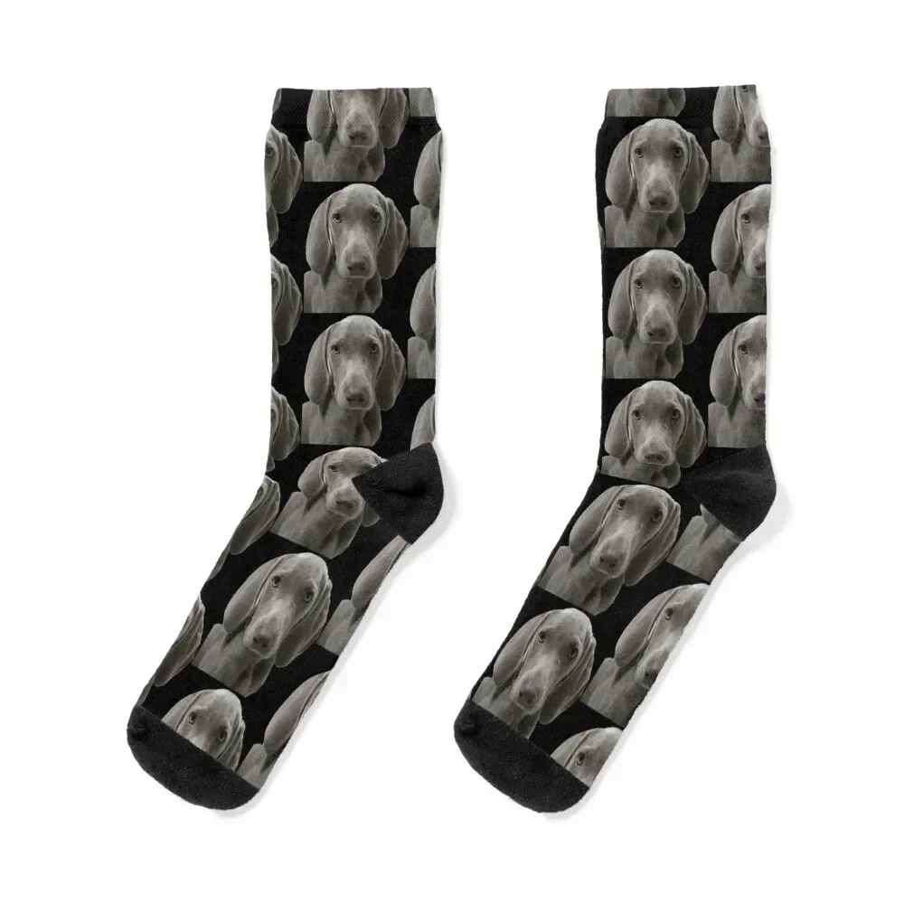 Сервизный вид Weimaraner Puppy Face Front Socks на заказ спортивные детские носки для бега