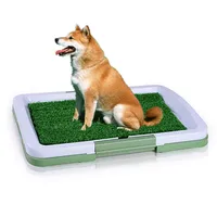 Large Indoor Dog Toilet Mat Plastic Tray Big No Pooping Dog Yard Sign Grass Lawn Garden Pet Urinal with Tree Fresh Step Mascotas