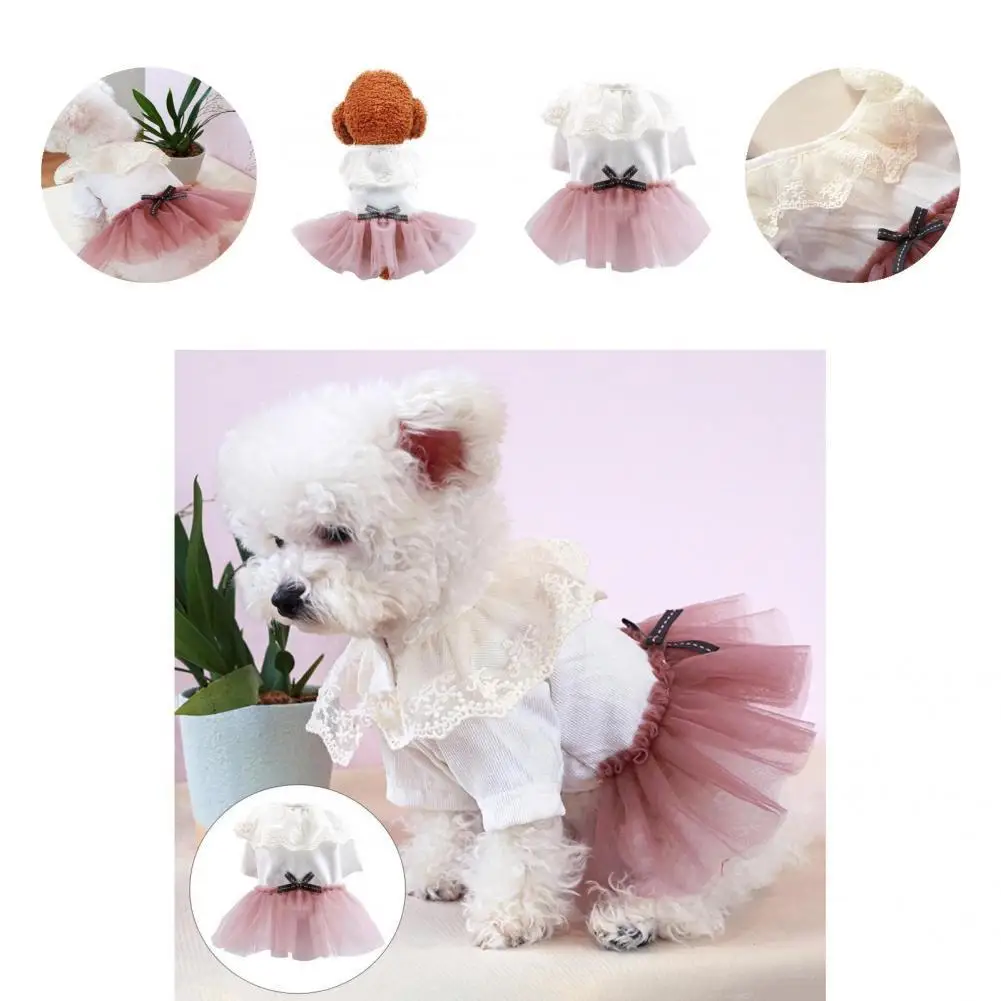 

Моющееся модное платье для питомца, мягкая футболка для щенка, наряды, юбка для собаки, не садится на свадьбу