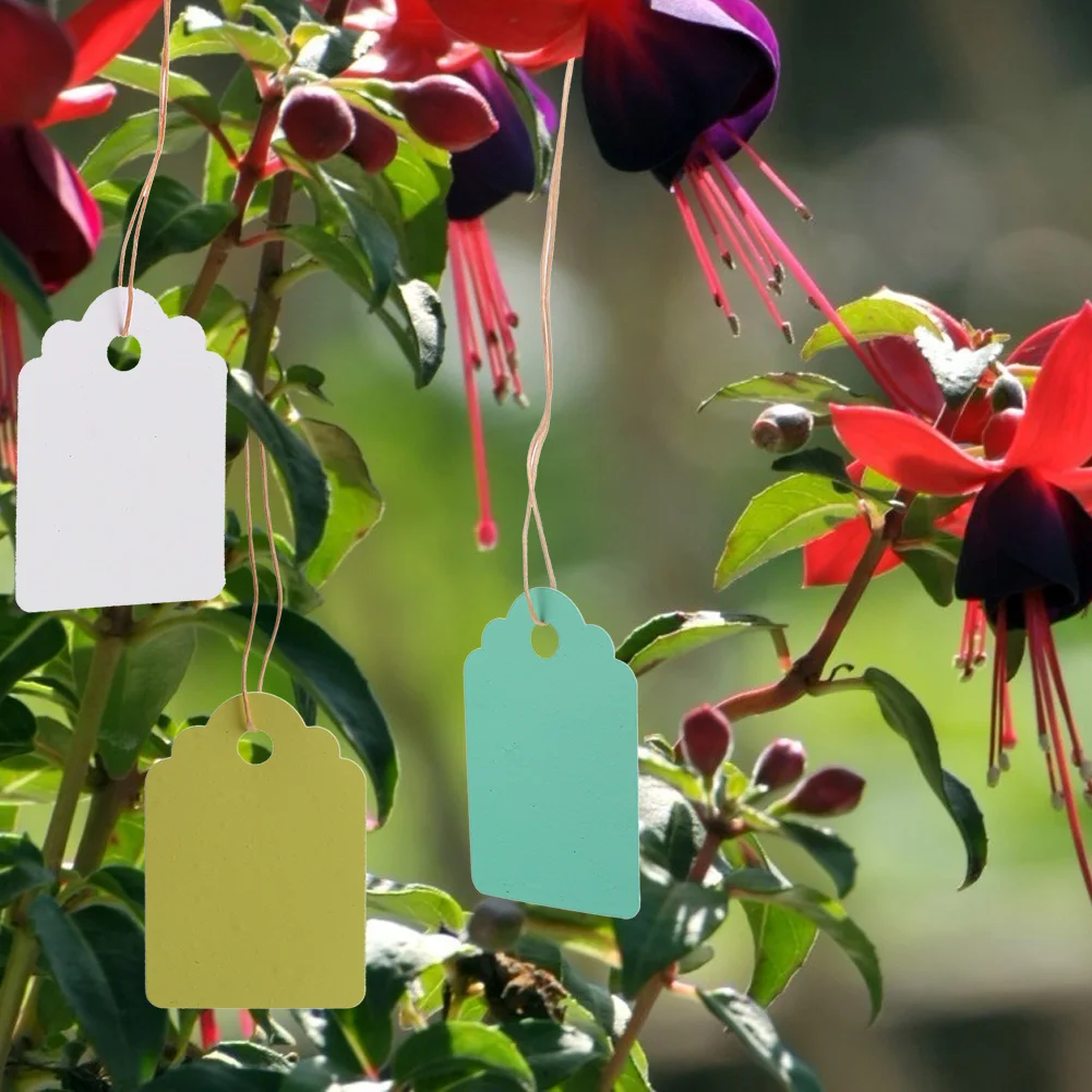 

300pcs Mixed Color Hanging Plant Markers Diy Seedlings Labels Hang Garden Flowers Pots Pvc Tags Garden Tools