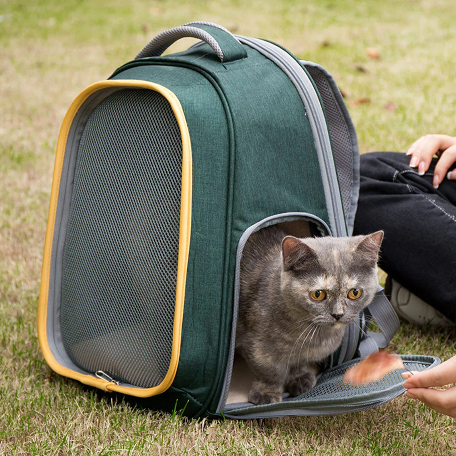 

Large Space Carrier For Cats Collapsible Pet Backpacks For Dogs And Cats Portable Backpack Pet Carrier Expandable Kennel Crate