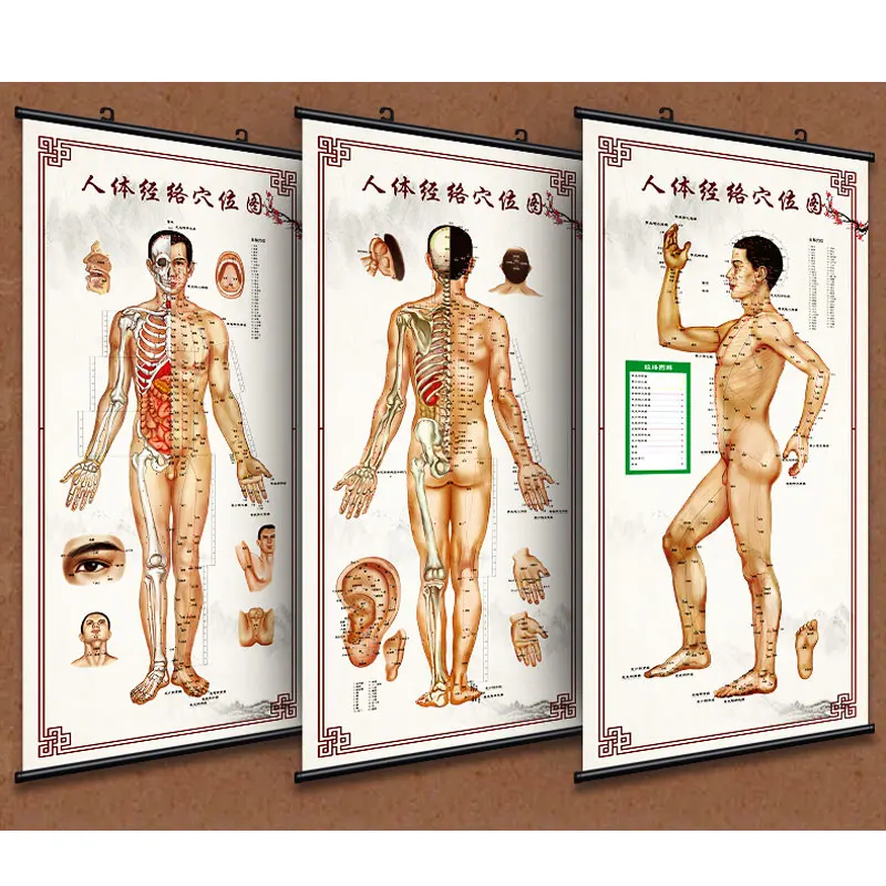 

Full Set of High Definition Acupuncture Points Moxibustion Wall Chart Human Body Meridian Acupoint Male Female 50x100cm 3pcs