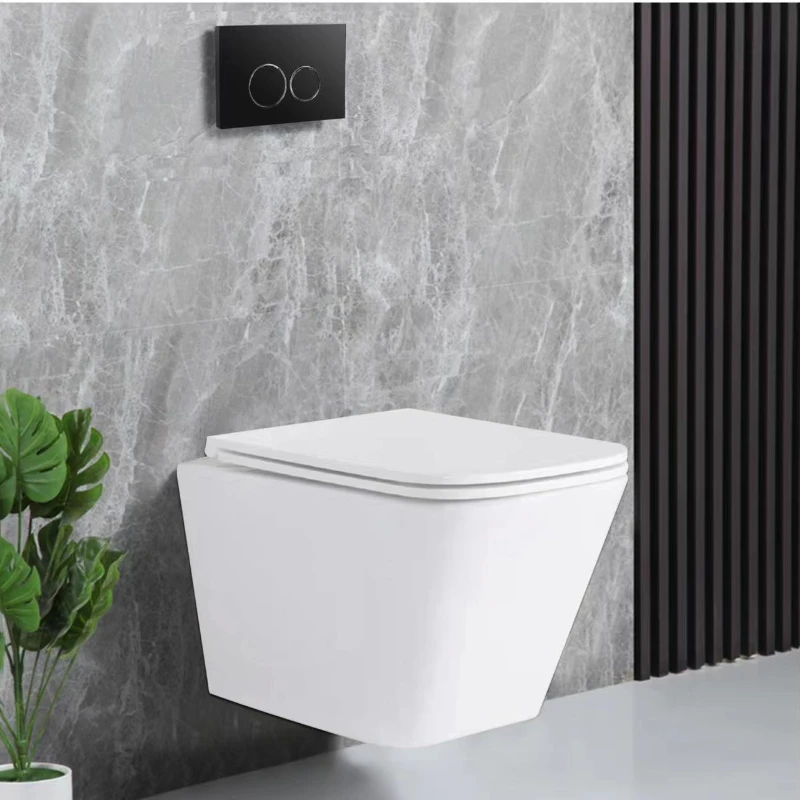 

Wall Hung Smart Toilet With Tank Wc Pan Squat Toilet Concealed Cistern Push Button