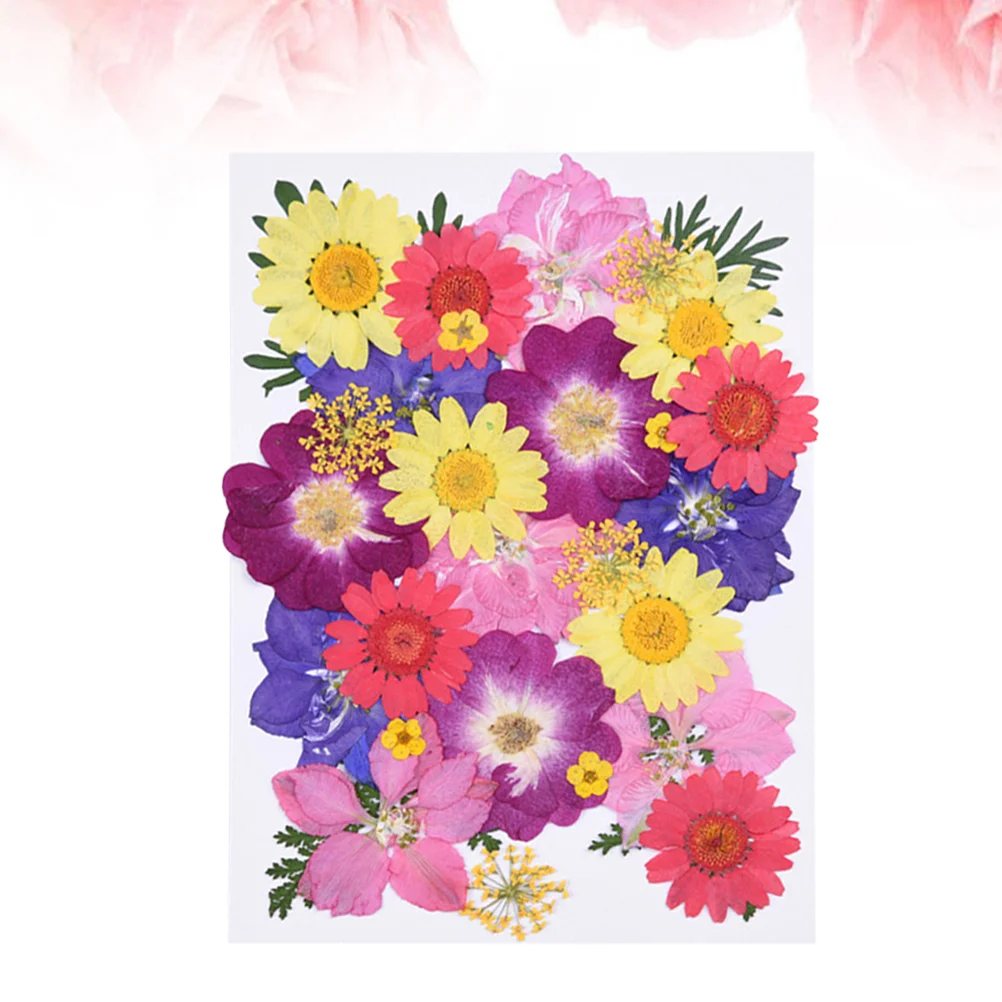 

30 Pcs DIY Flower Pressed Flowers Resin Crafts Dried Flowers Making Dry Flowers Resin Specimen Mixed Flower Dried Flower