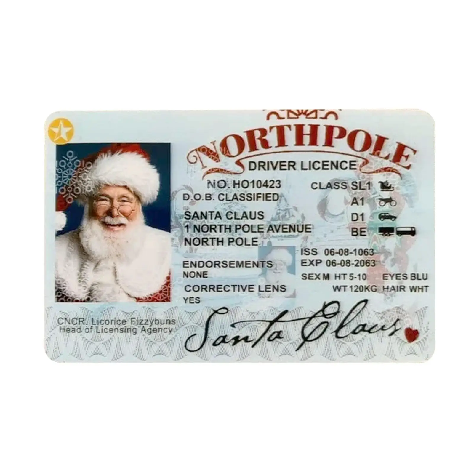 

Сани Санта-Клауса, лицензия на водительские прав-рождественские украшения, 1 шт., чтобы доказать существование Санта-Клауса