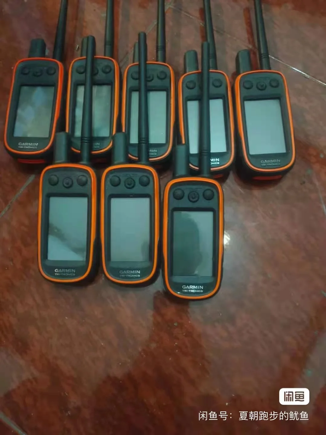 

Ошейник Garmin 100 + T5 б/у