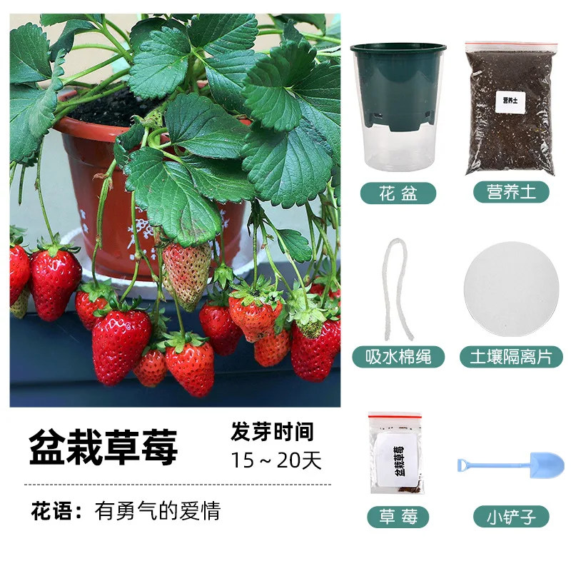 

DIY potted plant happy farm observation plant germination kindergarten primary school manual work plant gifts