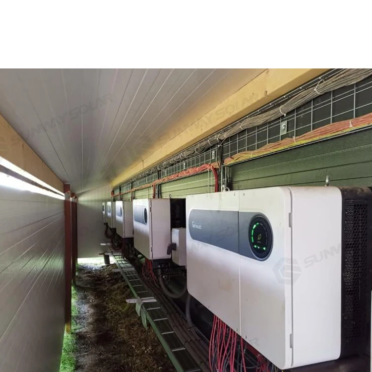 Рисунок 4 - Инвертор Growatt Max 100 - 125ktl3