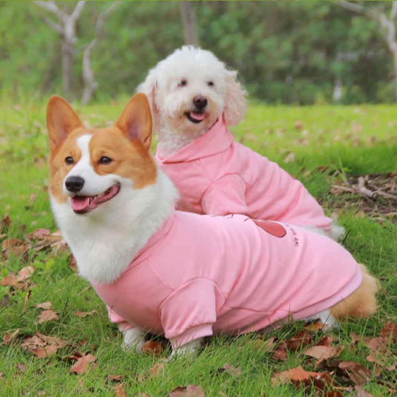 

Новая одежда для домашних животных, теплые толстовки для собак, свитер для кошек, пальто, костюм для домашних животных на осень и зиму, одежда для домашних животных, инструменты для косплея собак, кошек