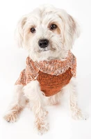 jmt heavy cable knitted designer fashion dog sweater