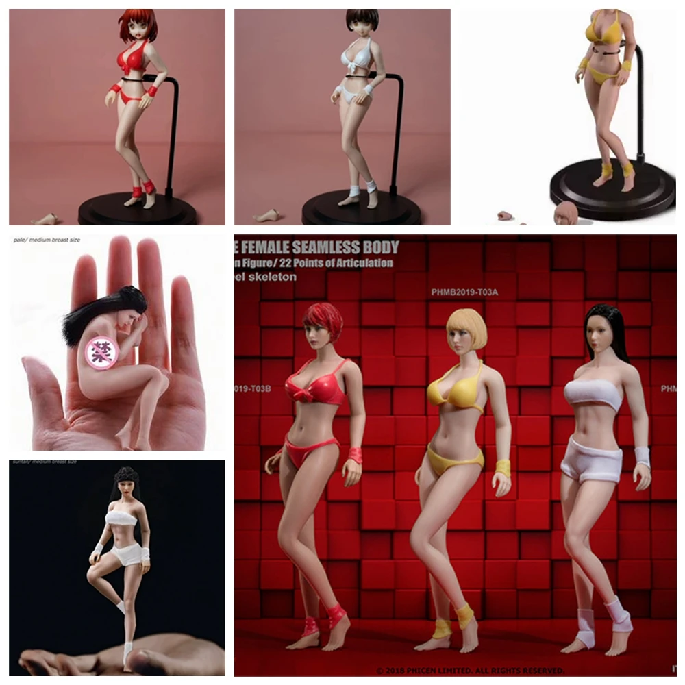 TBLeague Female Body Doll T01 T 02 03 A B Pale Sutan 1/12 Супер-гибкие бесшовные тела пухлый стиль для