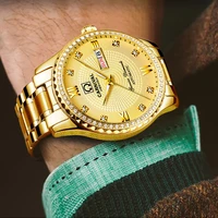 carnival luxury diamond mechanical watch stainless steel week calendar luminous gold automatic wristwatches relogio masculino