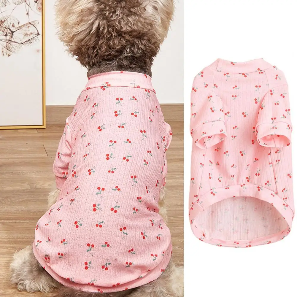 

Pet Shirt Fruit Pattern Wear Resistant Polyester Pet Dog 2-Legged Super Soft Solid Pullover for Autumn