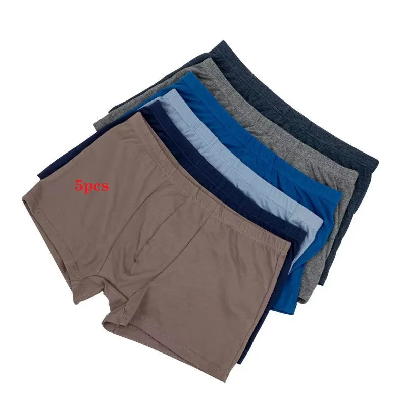 

5Pcs/Lot Men's Underwear Spring And Summer Cotton Men's Boxer Shorts Breathable Loose Sexy Boxer Underpants Male Panties