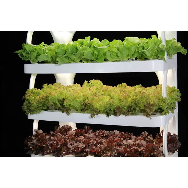 Автоматическая домашняя садовая умная ферма для выращивания гидропонной