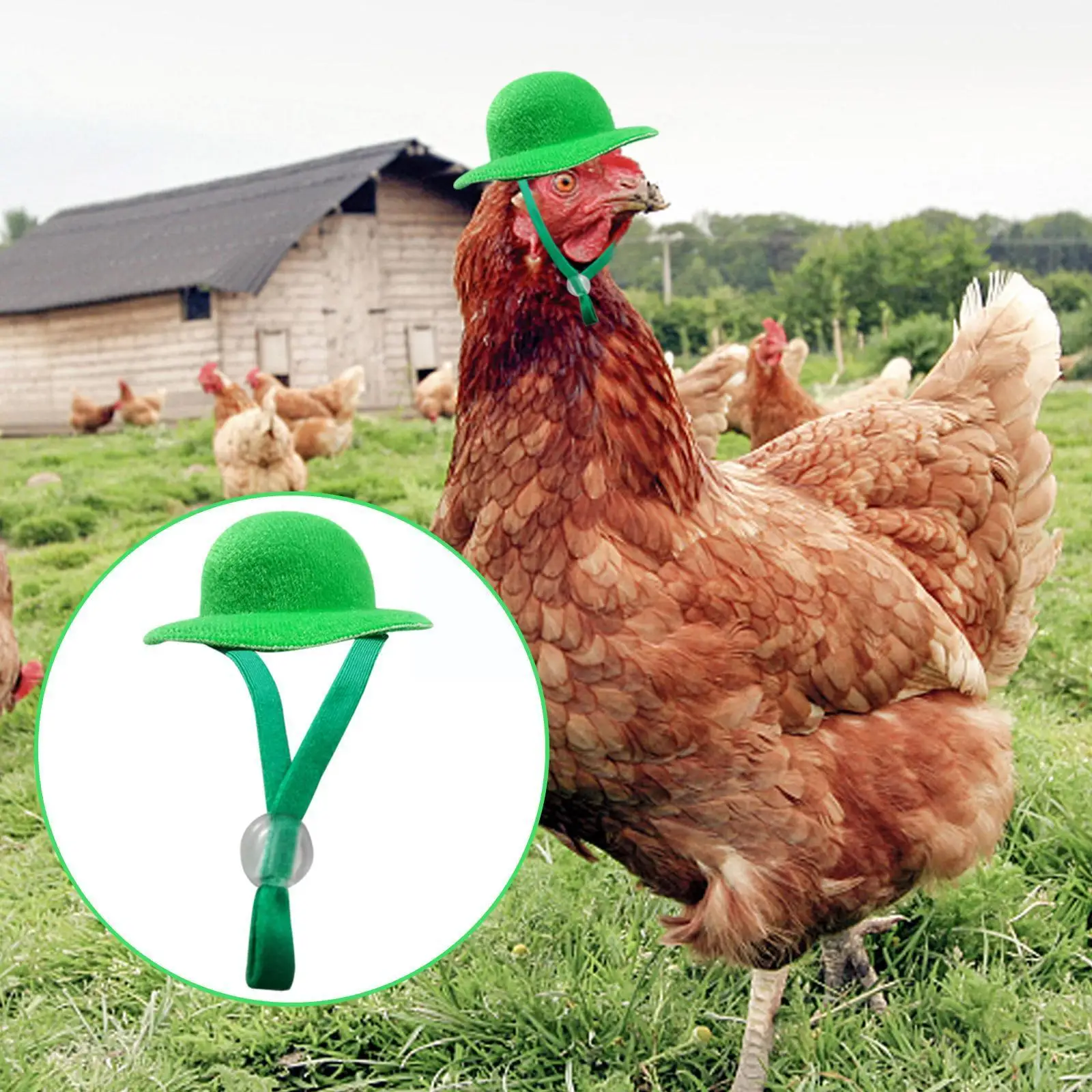 

Chicken Hens Hat Tiny Pets Funny Chicken Accessories Hen Top Hat For Rooster Duck Parrot Hamster Poultry Stylish Show Costu E9j6