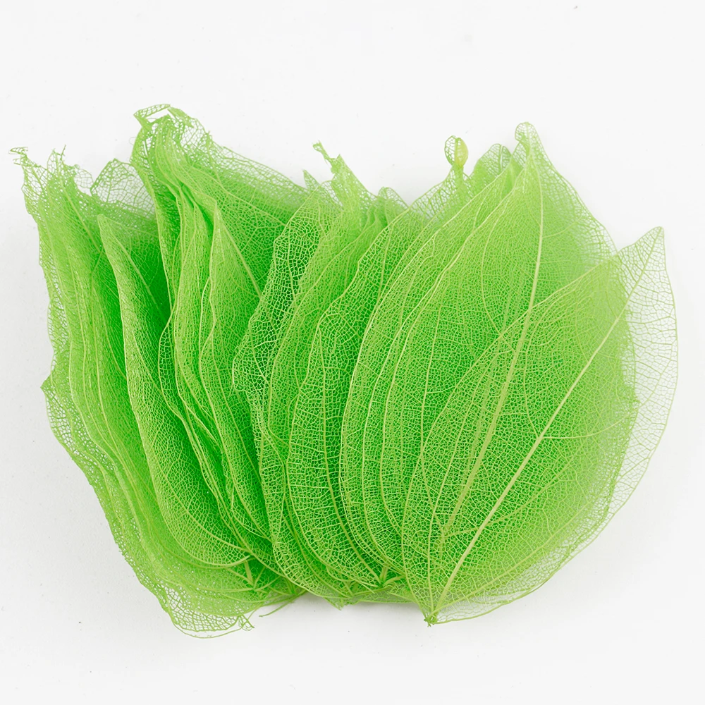 Lucia Crafts 36 шт многоцветные искусственные листья сухие Скрапбукинг Девушка для DIY