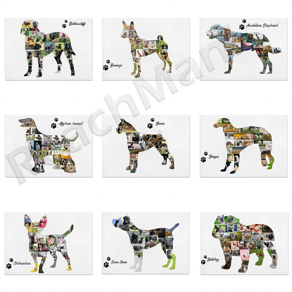 

Чихуахуа, мастиф быка, бутафория, Анатолийская овчалка, афганский бунтарь, Бостон-терьер, собака-Боксер Корсо, плакат с животными