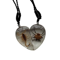 new stitching necklace pendant heart couple necklace insect specimen artificial amber fashion accessories decor creative gifts