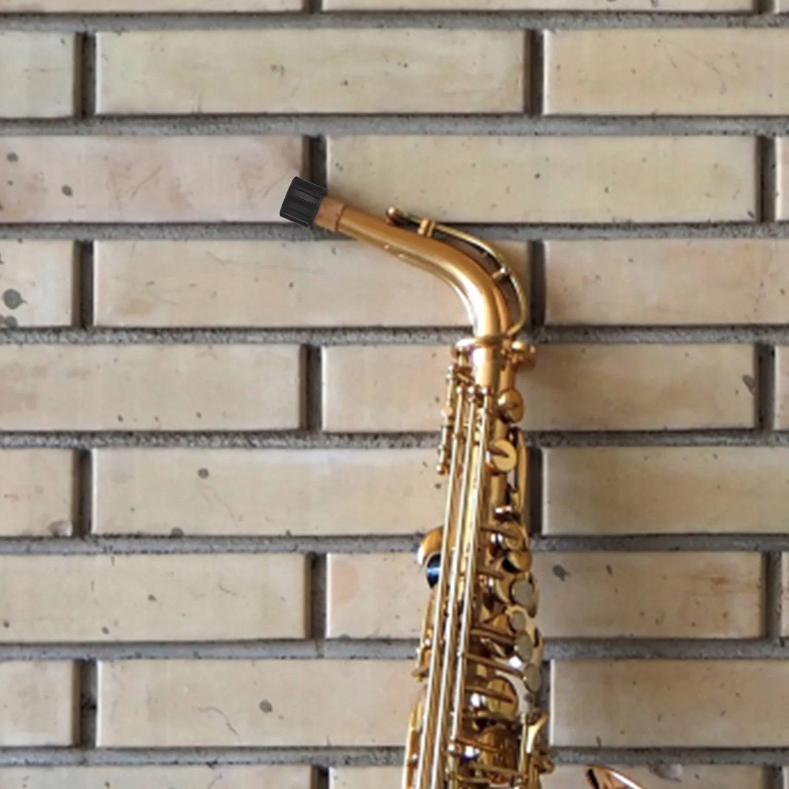 Echo sax end looped caleb arredondo. Echo sax end looped caleb arredondo