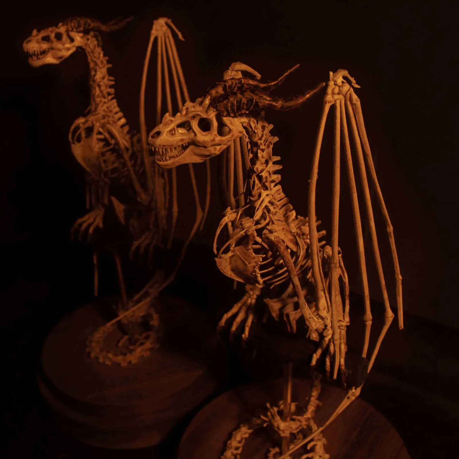 Таинственный Скелет из вэньдиго шкаф для любопытства модель ископаемого черепа