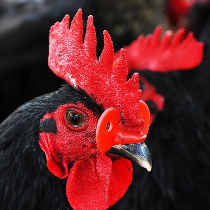 Мини-клей для накладных ресниц, двойной клей для век, мягкий, не вызывающий раздражения, крепко держится, не спадает от ресниц, инструмент для макияжа