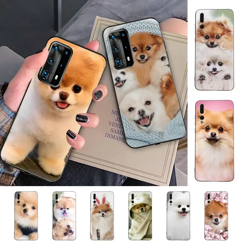 

Pomeranian dogs Phone Case for Huawei P30 40 20 10 8 9 lite pro plus Psmart2019