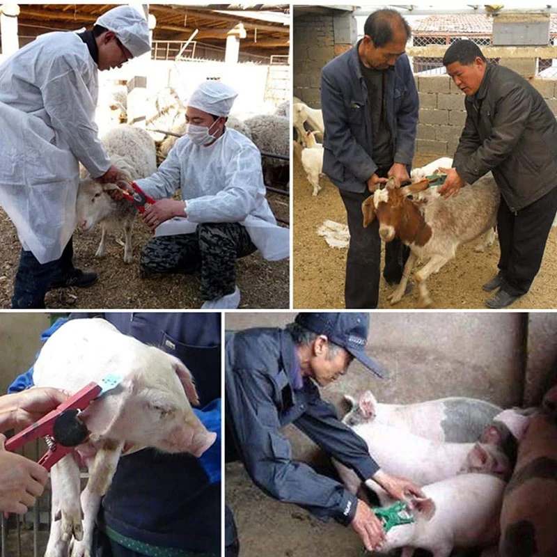 Плоскогубцы для ушных бирок аппликатор маркера овец 001-100 набор идентификации коз