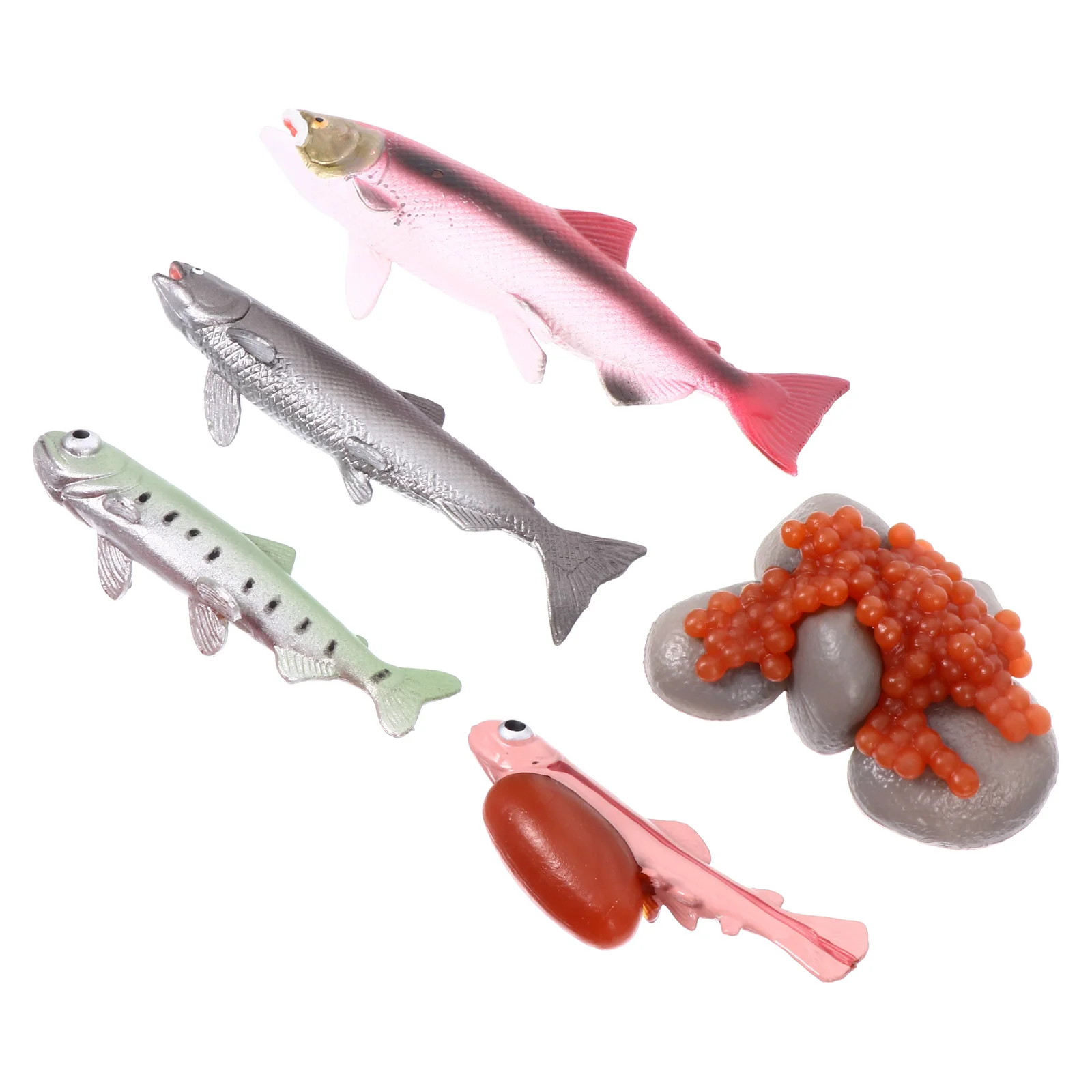 

Mini Toys Kids Growth Cycle Simulation Ocean Creature Model Fake Ornament Decorate Children Artificial Sea Animal Student