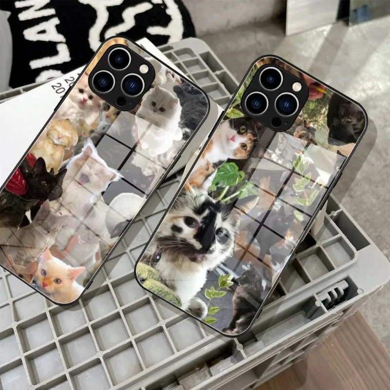 

Lovely Cat Animal Phone Case Tempered Glass For IPhone 14 13 11 12 Pro 8 7 Plus X 13 Pro MAX XR XS MINI SE 2020 Covers