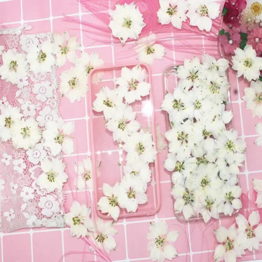 

прессованные сушеные цветочные растения Consolida Ajacis, гербарий для ювелирных изделий, открытка, пригласительный чехол для телефона, закладка «сделай сам»