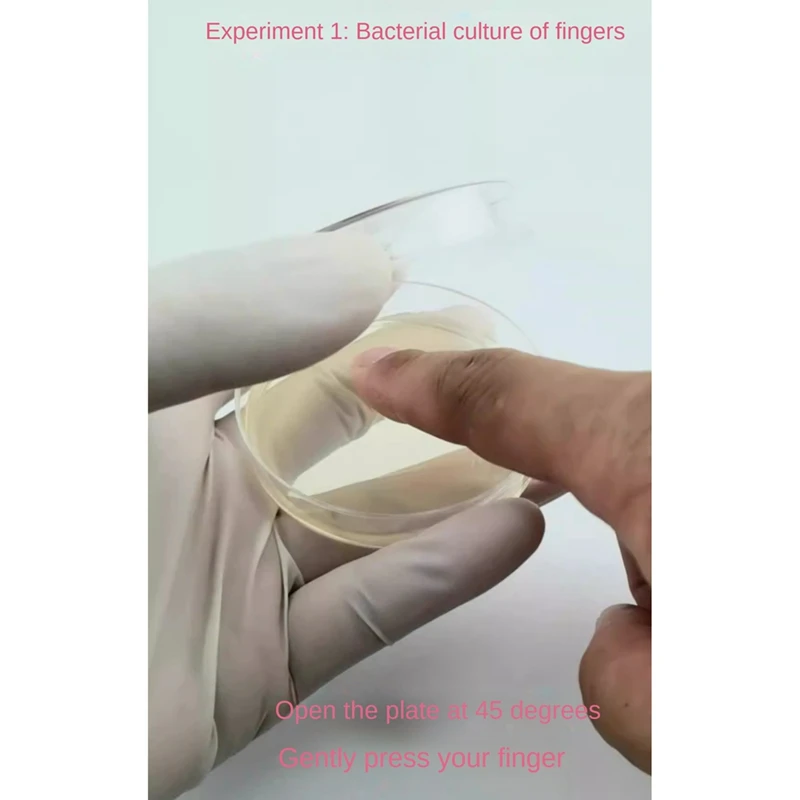 Декстроза для картофеля агар Петри бактериальная чаша грибов проект