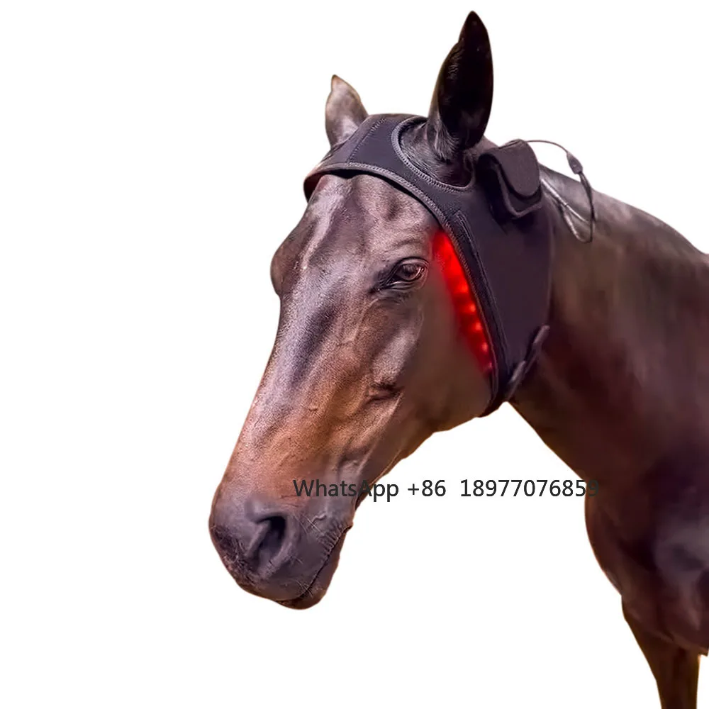 Фото SINOCO Equine Poll Cap Инфракрасный свет для головы лошади Инструмент для терапии красным светом Сертифицированный CE Терапевтическая пленка для головы лошади №1