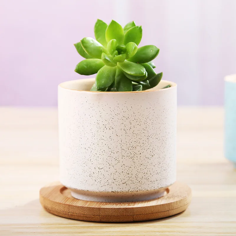 

Macarone small flowerpot family gardening ceramic meat pot Amazon foreign trade candy color simple 6-color flowerpot