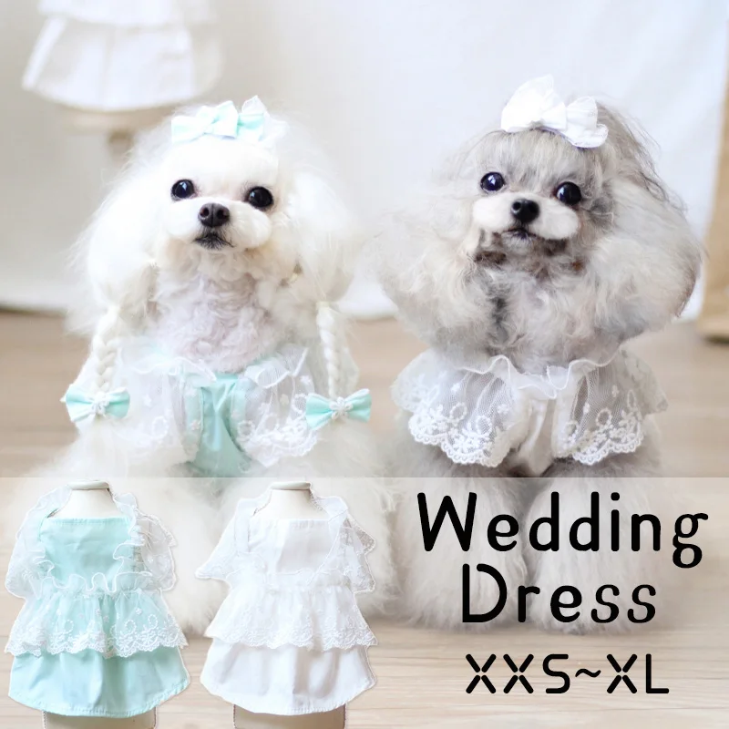 

2022 Pet Dog Clothes Wedding Dress Dog Puppy Skirt Lace Gauze Summer Pomeranian Teddy Yorkshire Corgi Bichon Shih Tzus Costumes