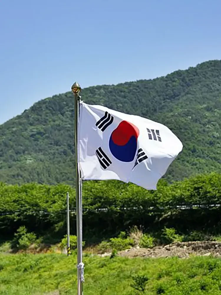 

90x150 см Флаг Южной Кореи kor kr Флаг Южной Кореи корейский парад праздничное украшение для дома