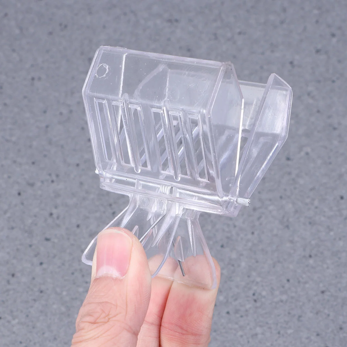 Queencatcher Clip Beekeeping Cage Clips Beekeepercatching Tool Toolsbees Cages Equipment Accessoires Transparent Supplies