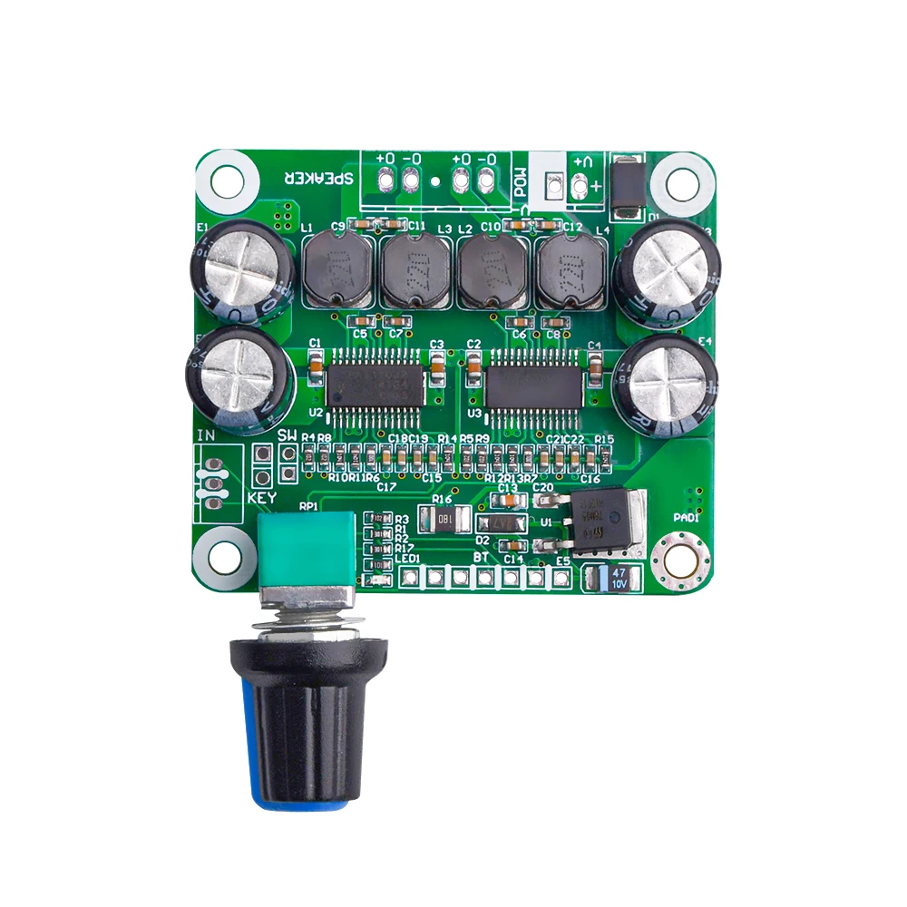 12V 24V TPA3110 Цифровой усилитель мощности