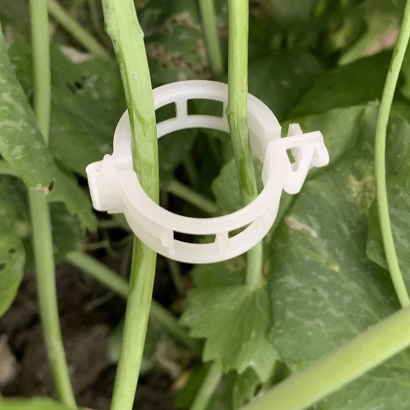 20 шт. пластиковые зажимы для растений
