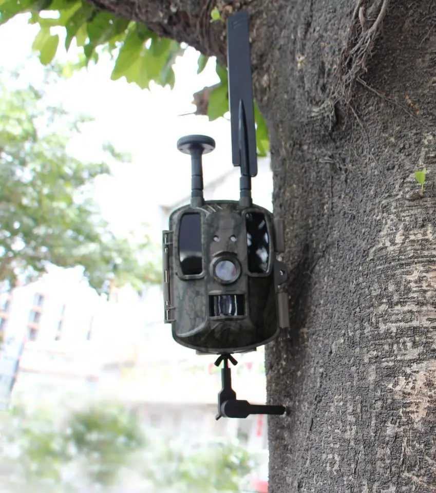 Action Trail Cameras Stand