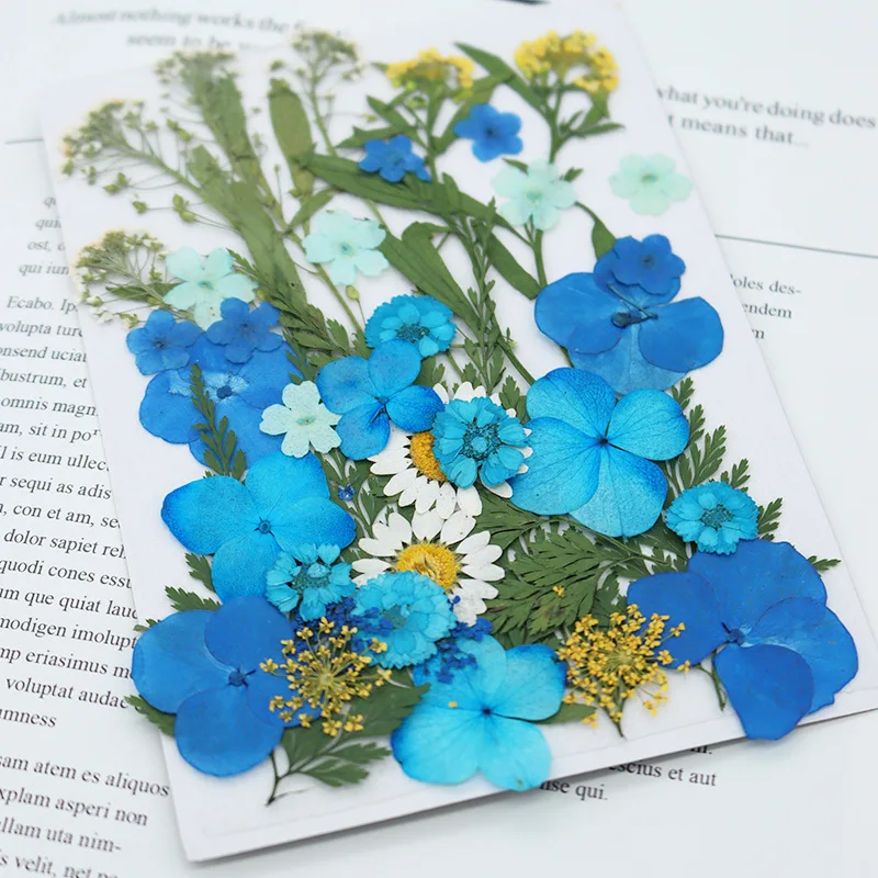 

Pressed Flowers Resin Flowers for Resin Mold,Real Daisy Dried Flower Leaves Natural with Tweezers for Scrapbooking DIY Candle